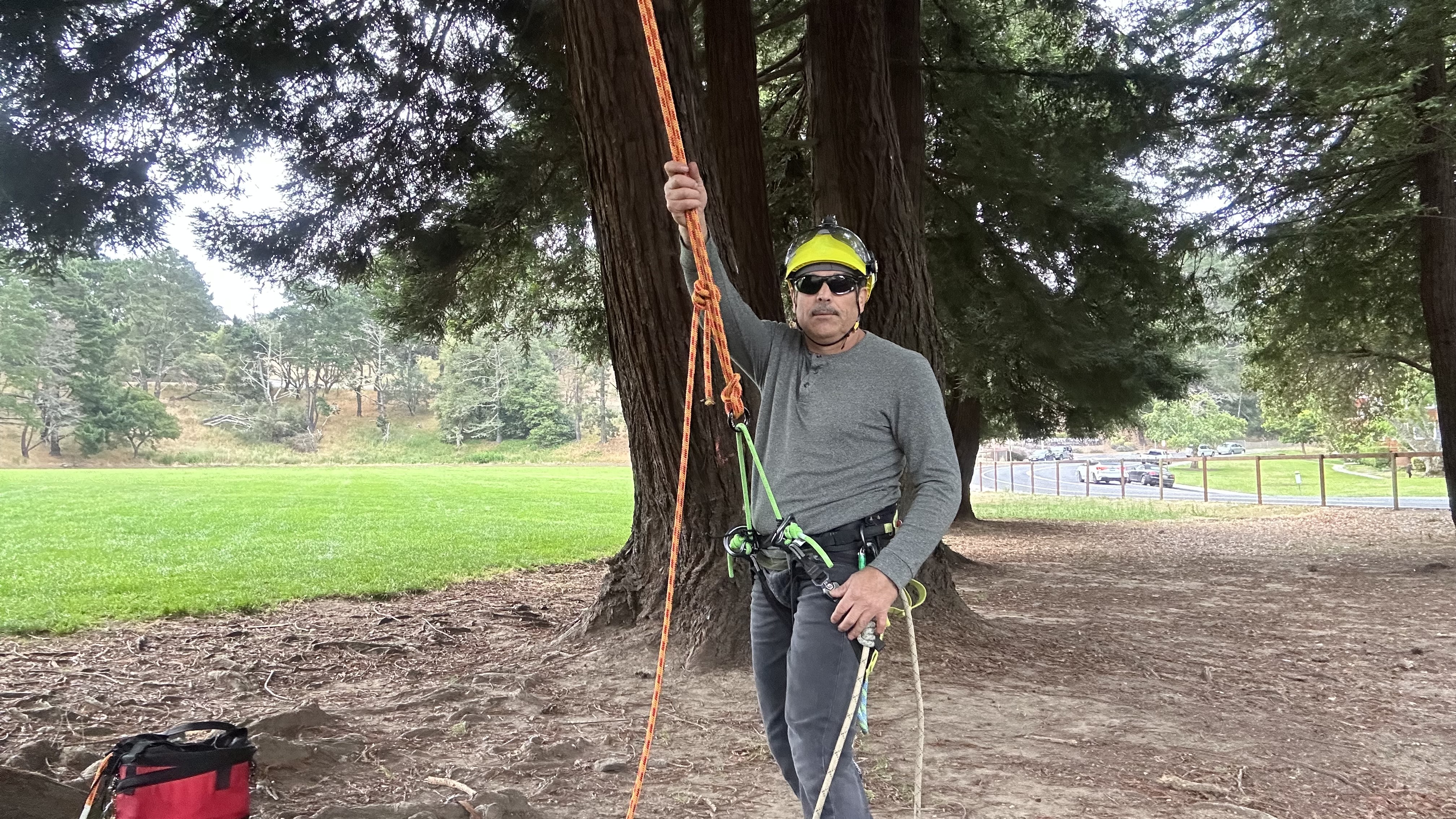 Tree Climbing